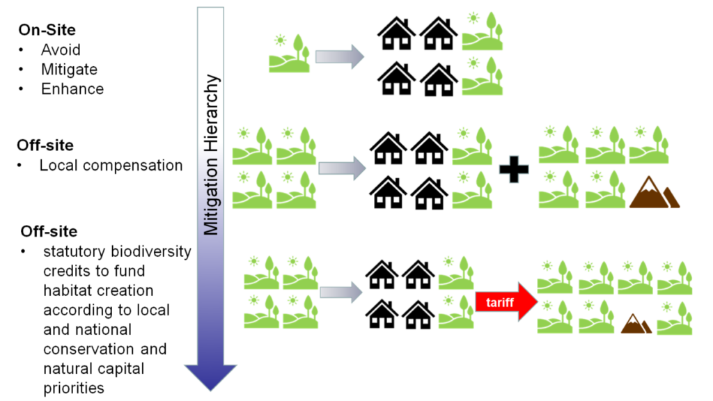 Biodiversity net gain in practice