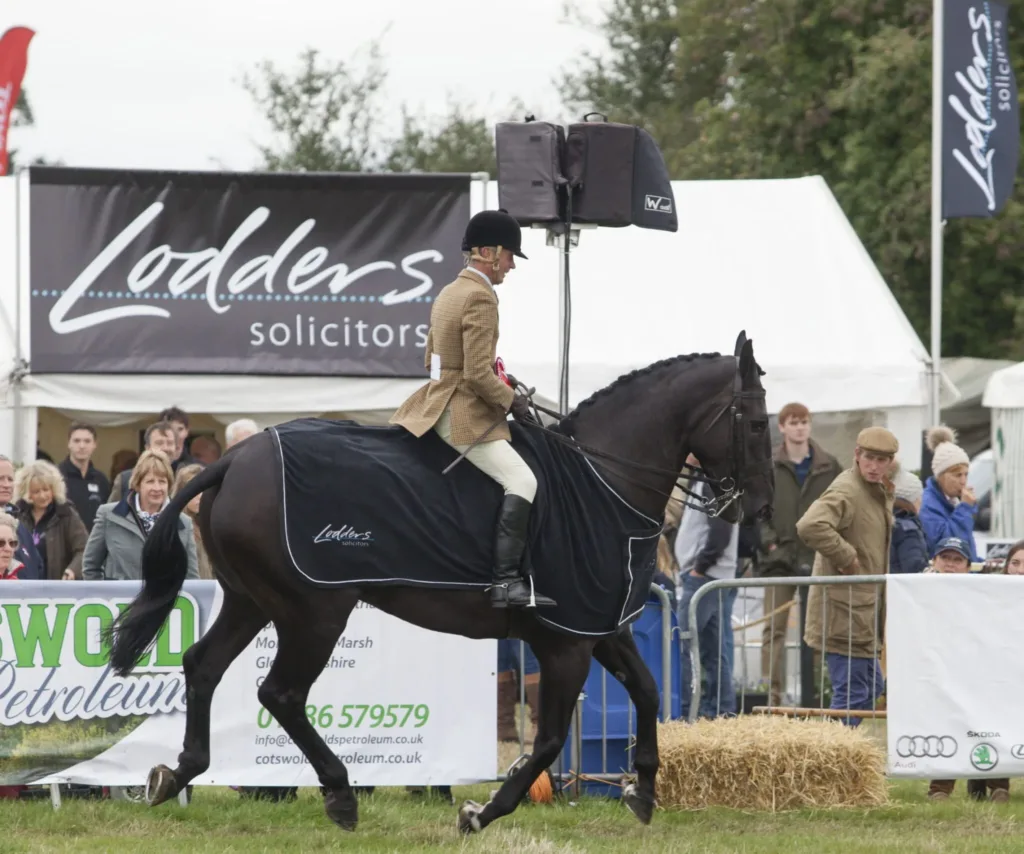 horse riding at moreton show