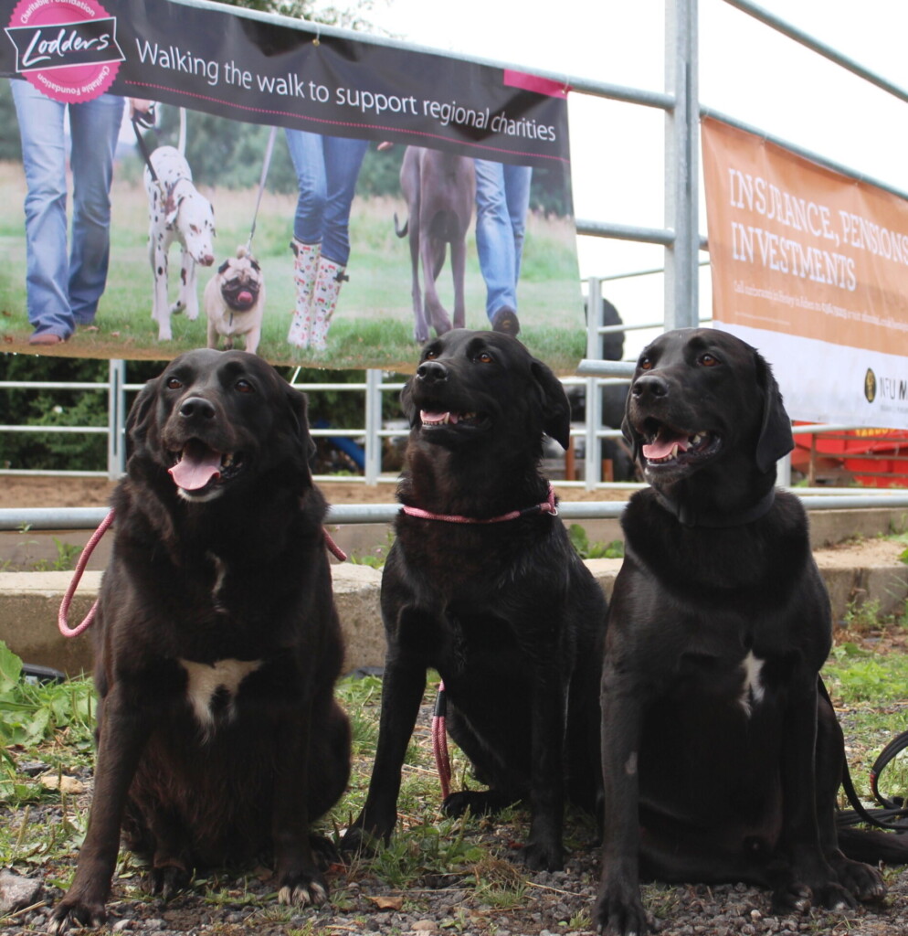 LCF Dog Walk Family Fun Day 2022