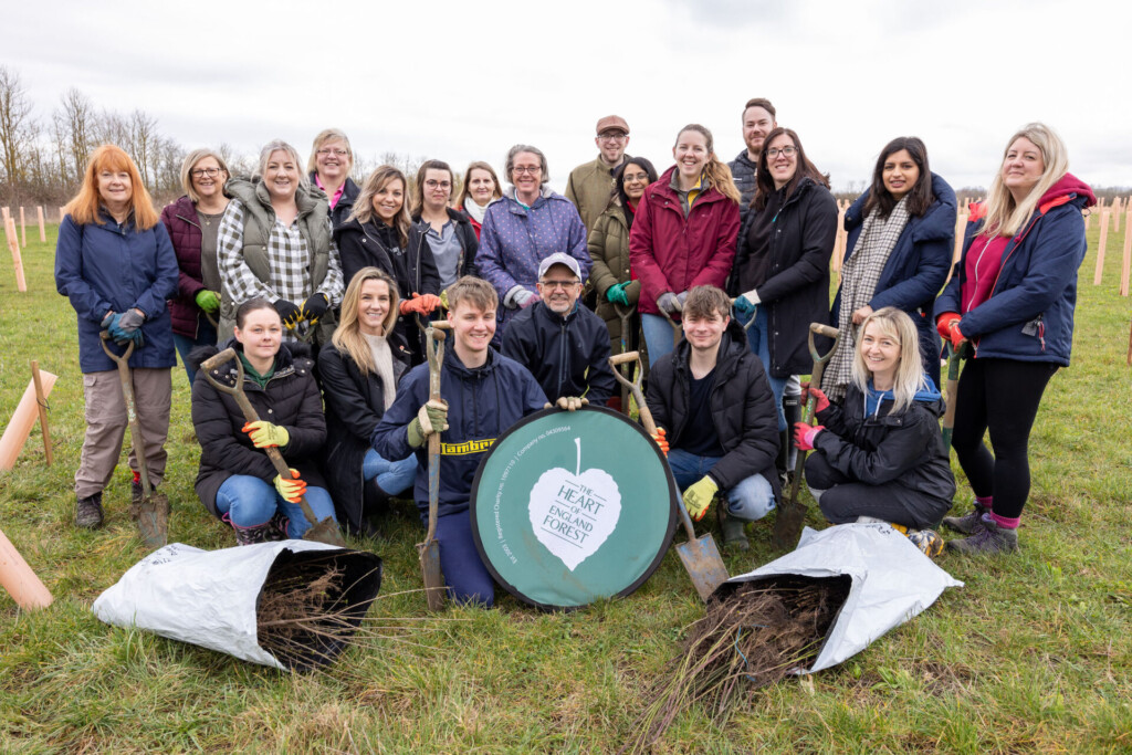 Tree planting