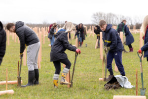 Tree planting with the Heart of England Forest