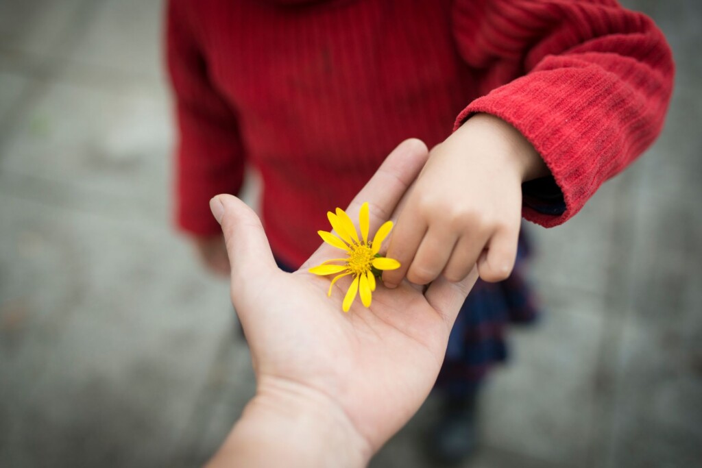 Making Schedule 1 claim: image depicts a child in a red jumper putting a yellow flower in a parent's hand.