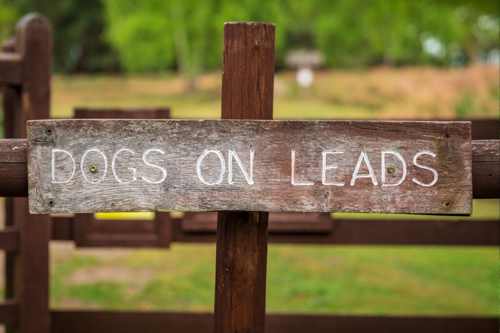 A sign on a gate reads: DOGS ON LEADS. New laws have recently come in place for dog attacks on livestock and farm animals